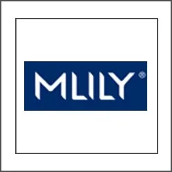 Mlilly Mattresses
